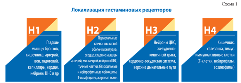 Курсовая работа: Ассортимент лекарственных средств для лечения аллергии